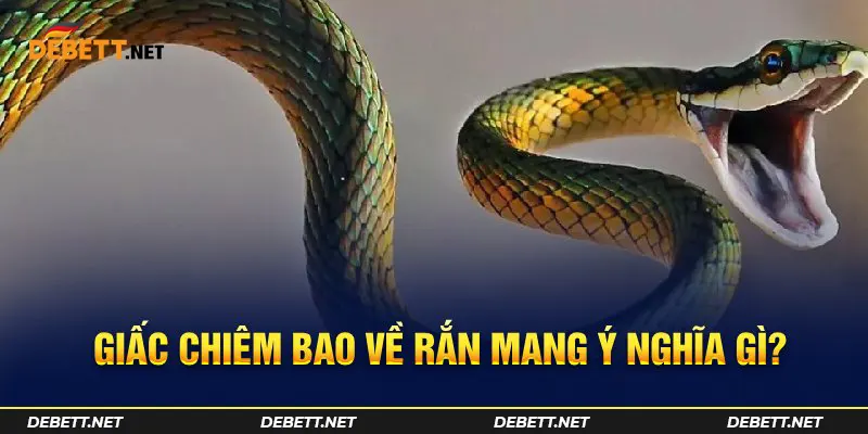 Giấc chiêm bao về rắn mang ý nghĩa gì?